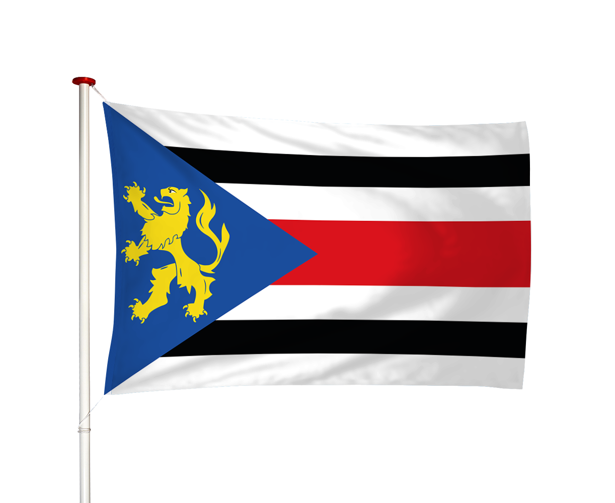 Vlag Finsterwolde