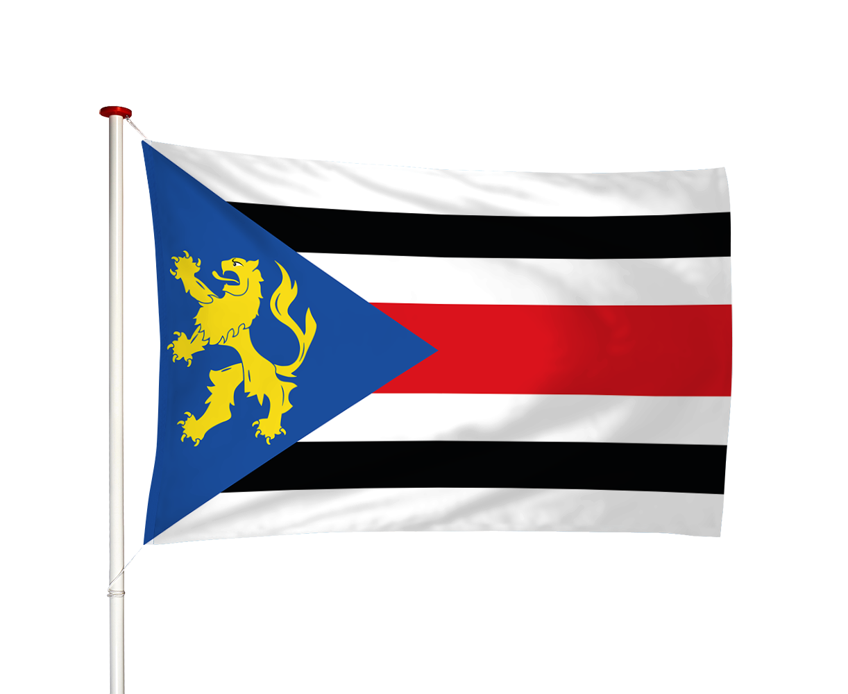 Vlag Finsterwolde