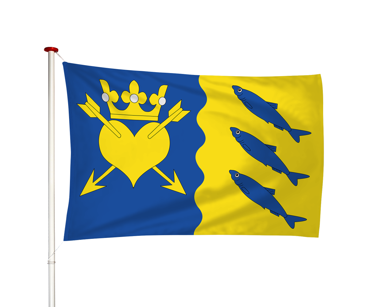 Vlag Nuis