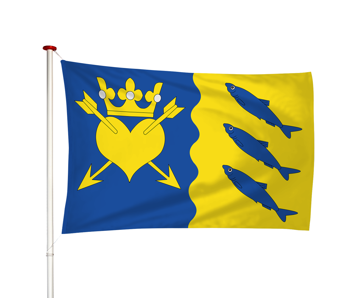 Vlag Nuis