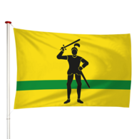 Vlag Stedum