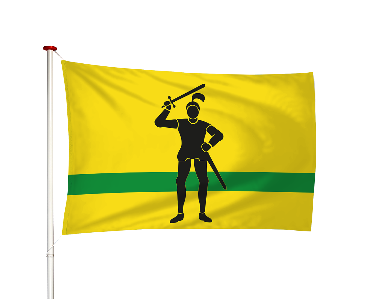 Vlag Stedum