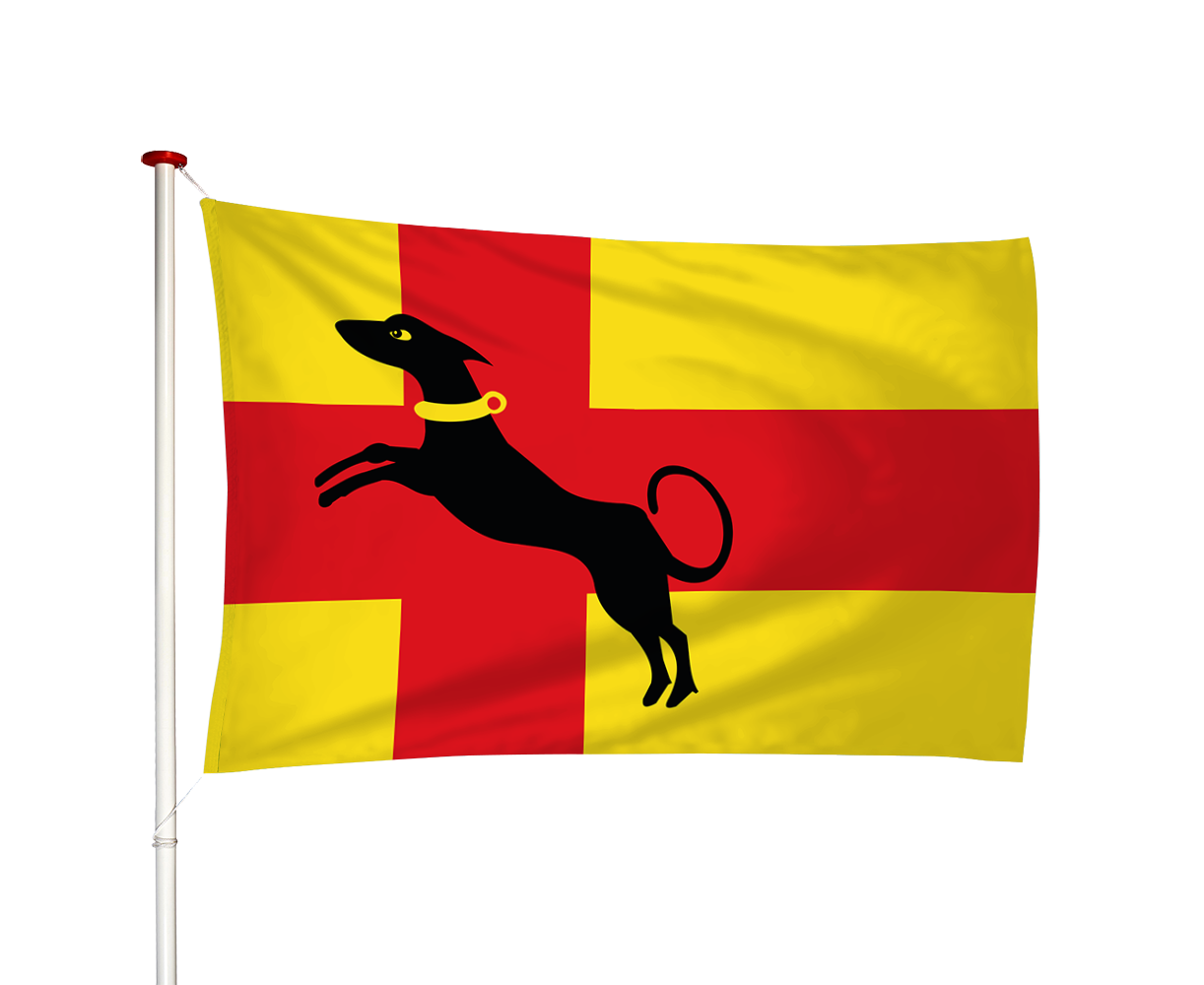 Vlag Ruurlo