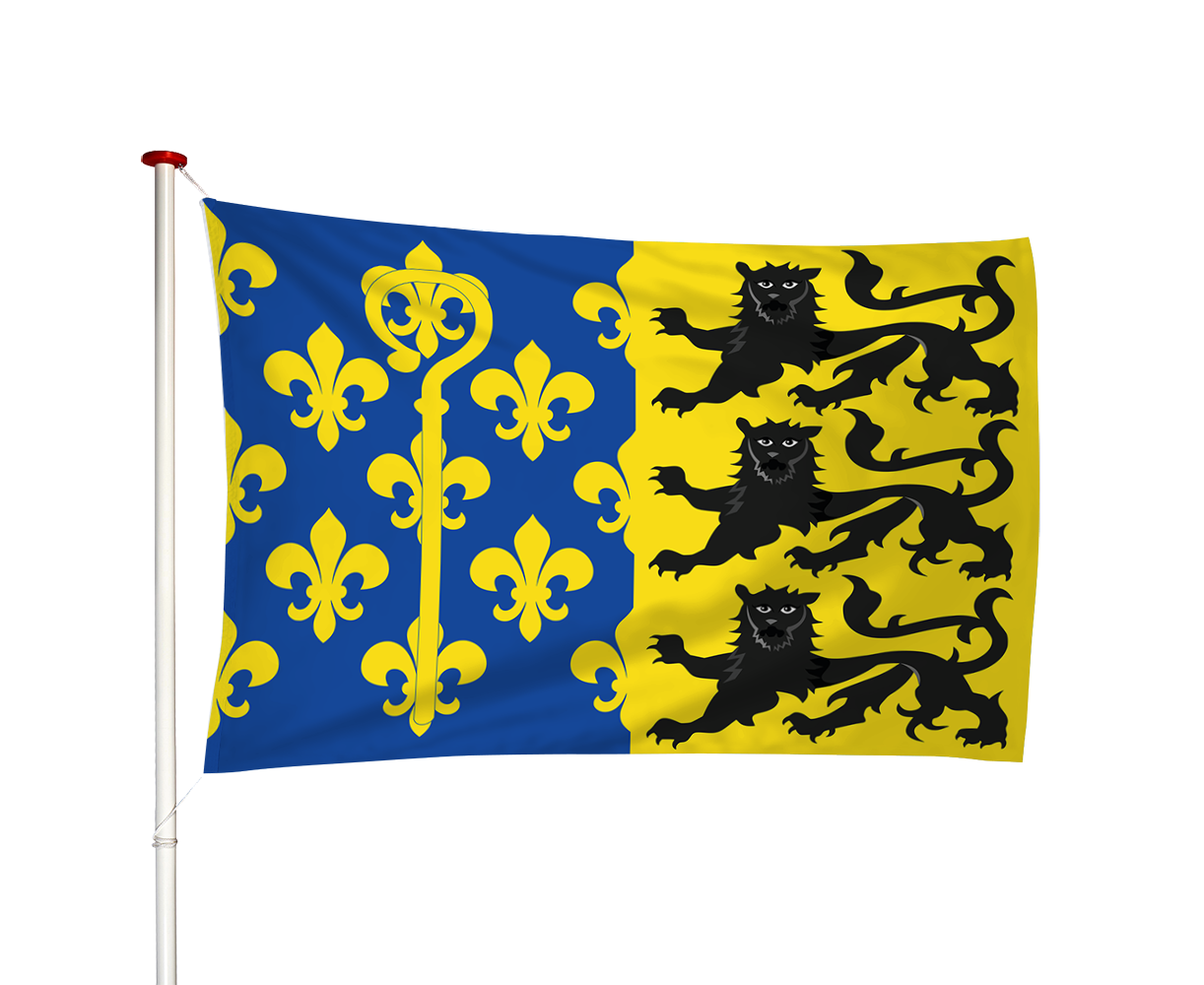 Vlag Overhasselt