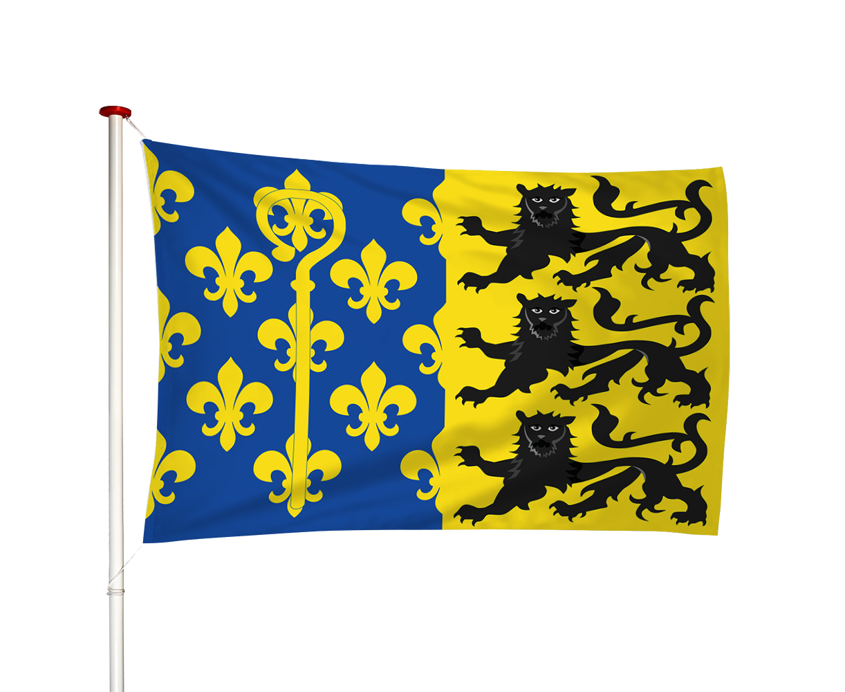 Vlag Overhasselt