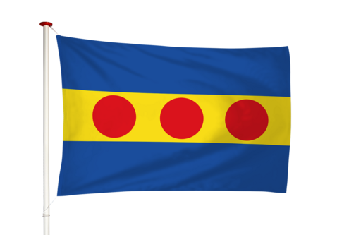 Vlag Neede
