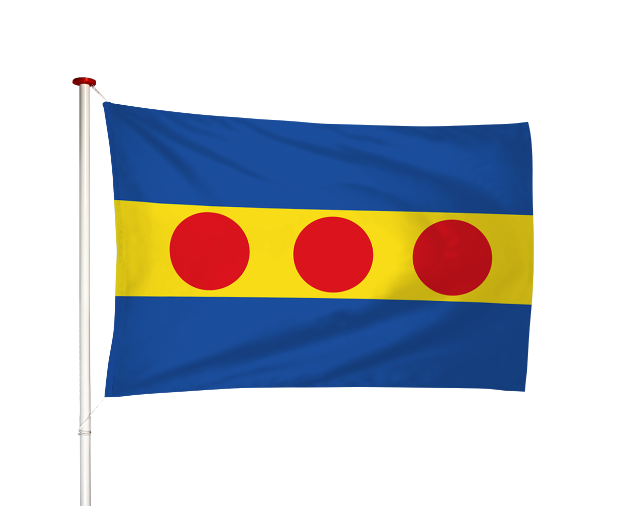 Vlag Neede