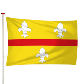 Vlag Loenen