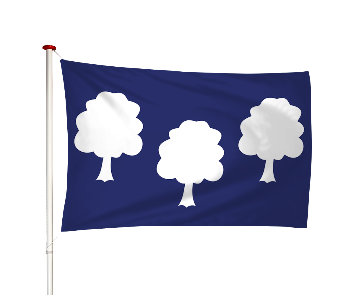 Vlag Elden