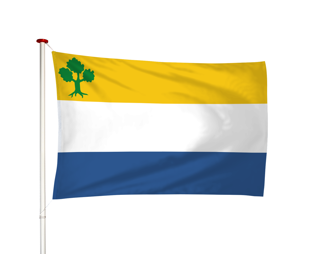 Vlag Nieuwstadt