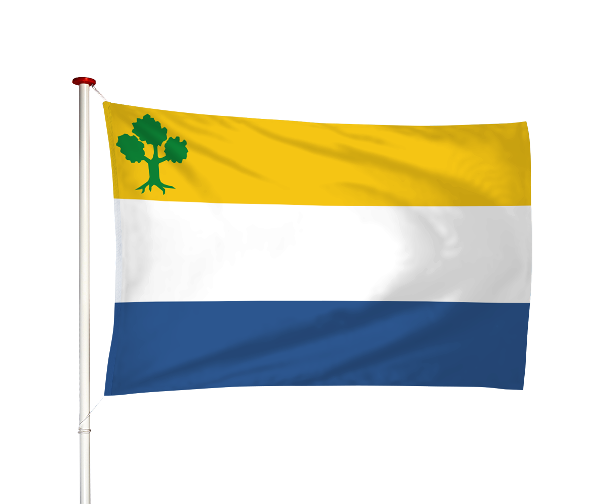 Vlag Nieuwstadt