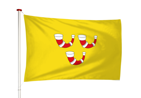 Vlag Horn
