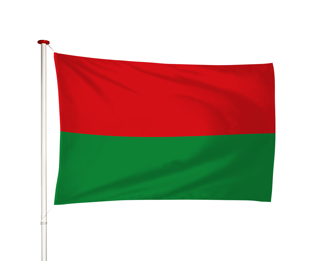 Vlag Heer