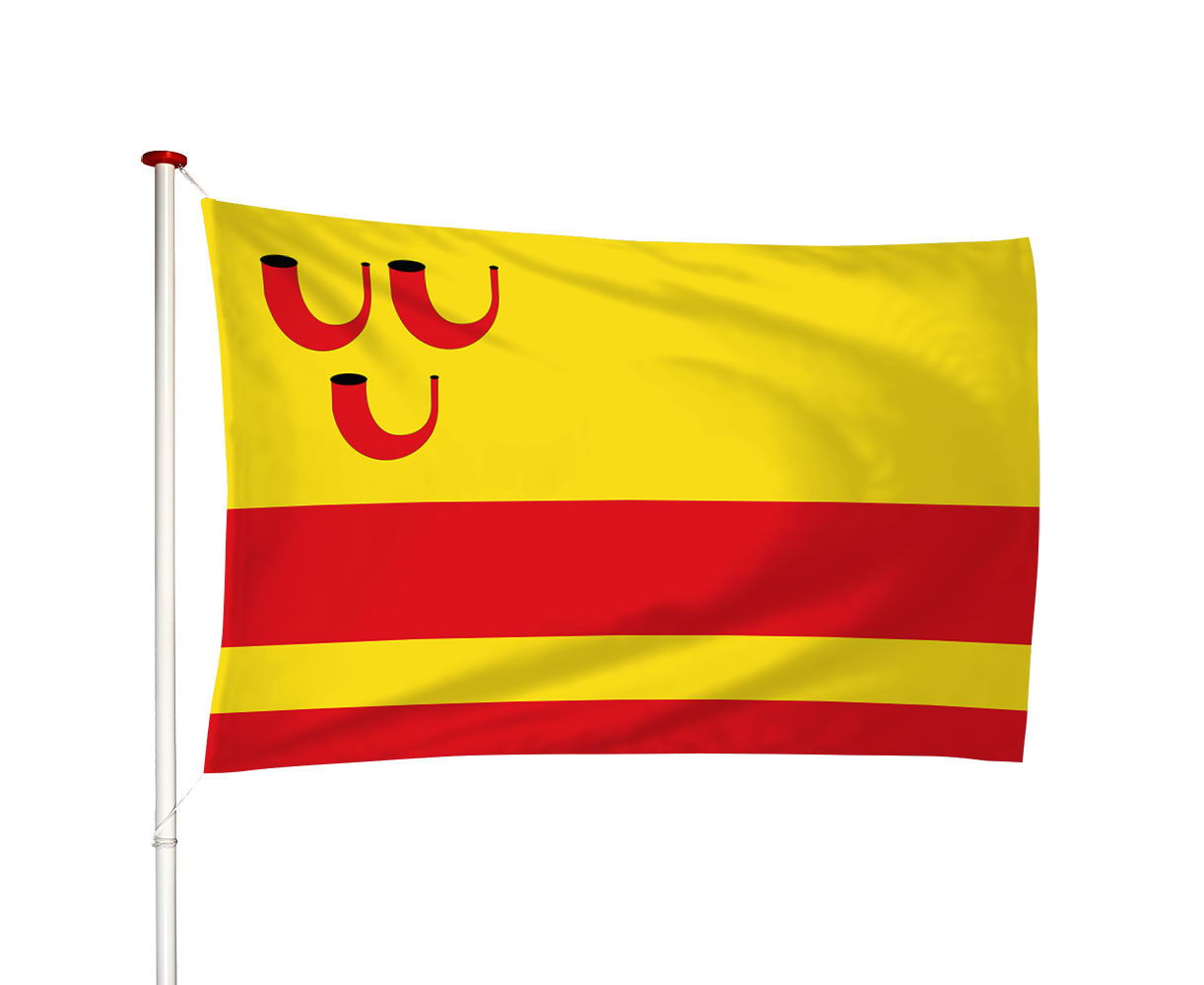 Vlag Haelen