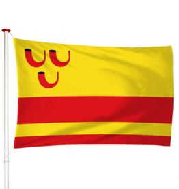 Vlag Haelen
