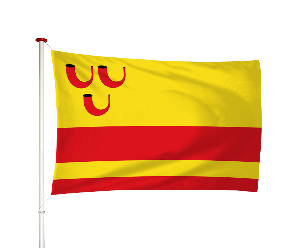 Vlag Haelen