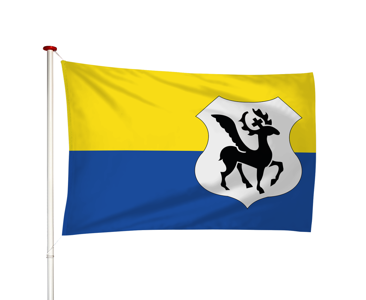 Vlag Blerick