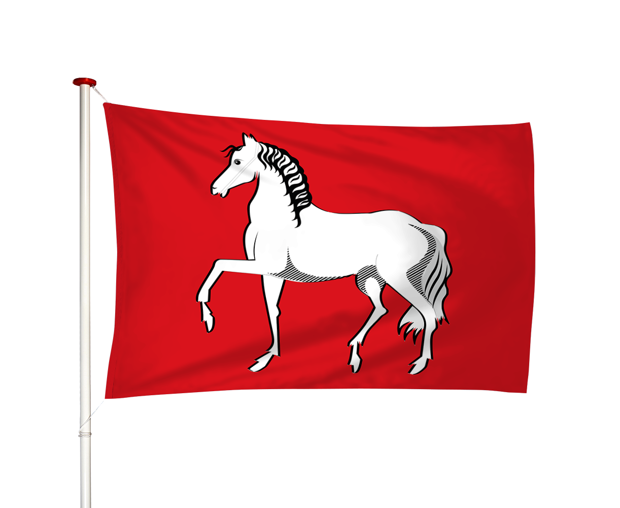 Vlag Assendelft