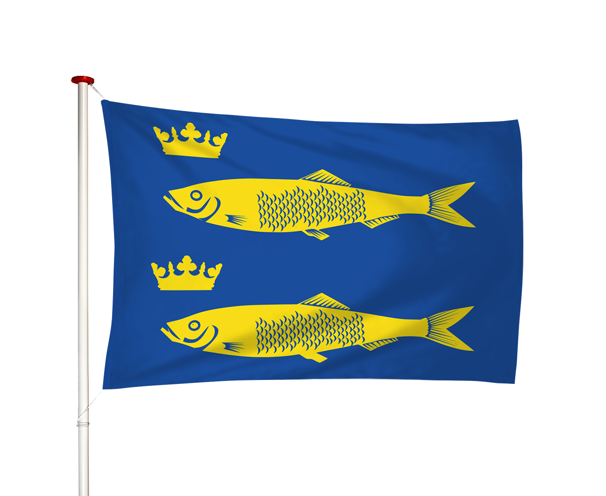 Vlag De Rijp