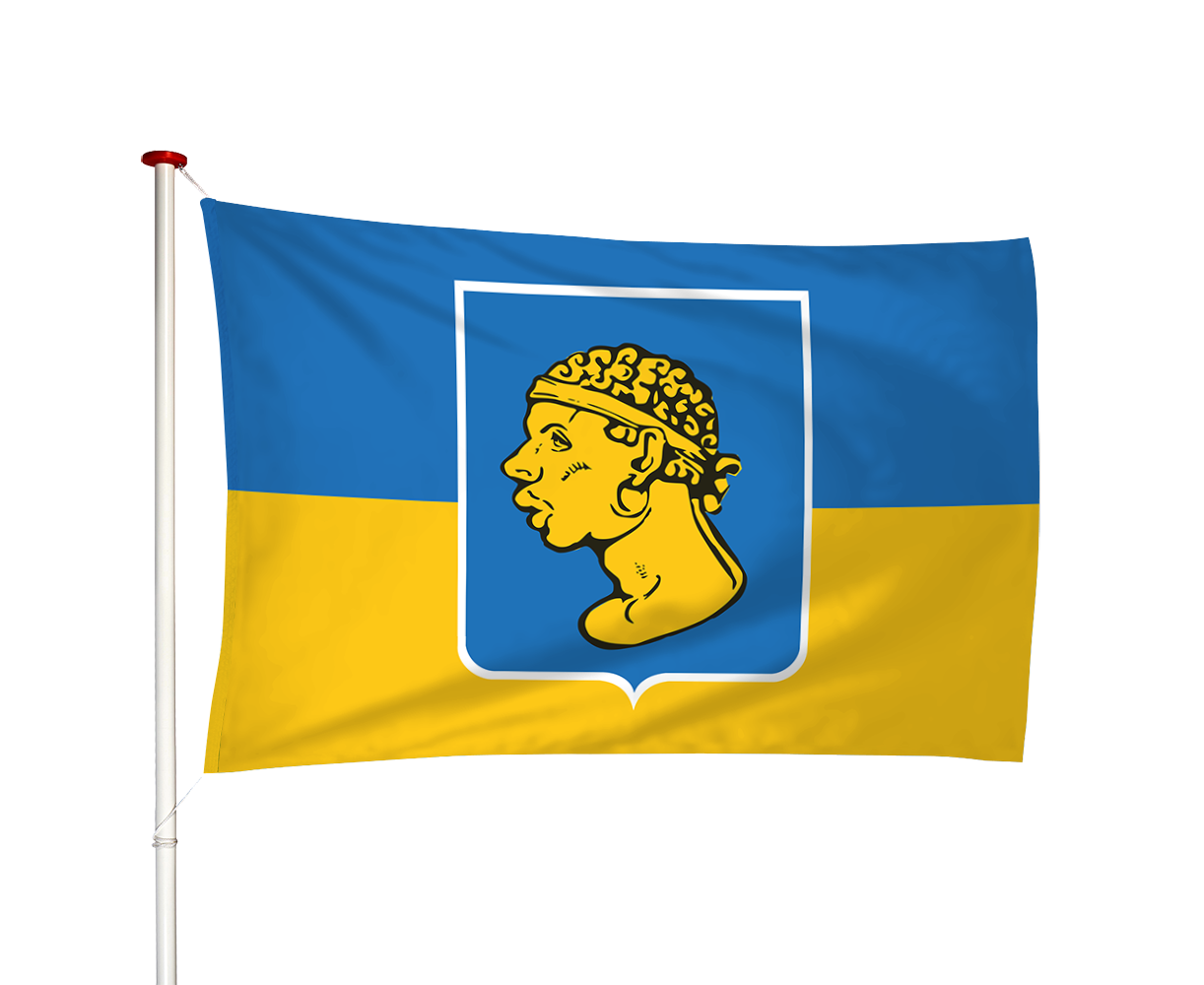 Vlag Marken