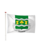Vlag Middelie