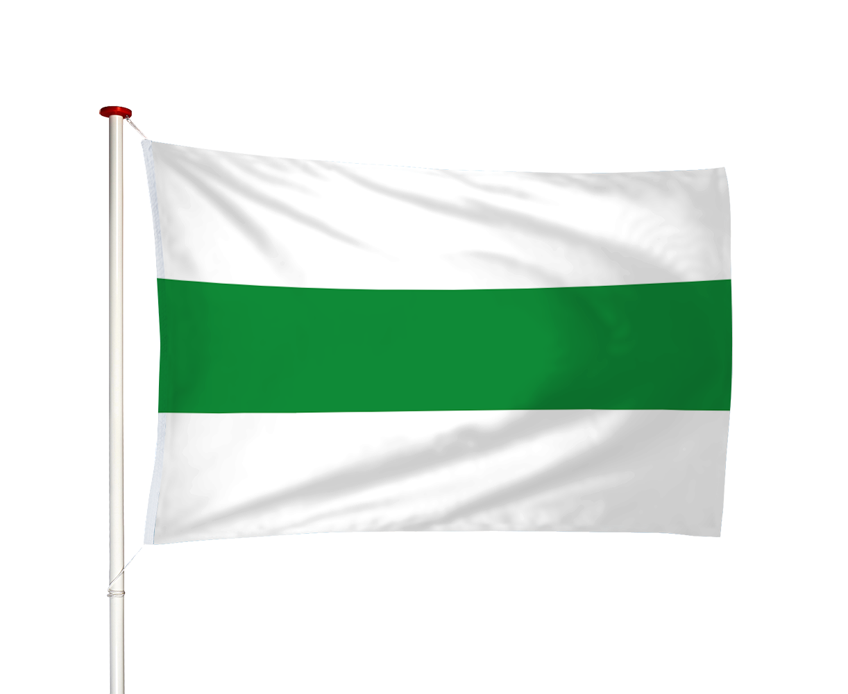 Vlag Monnickendam