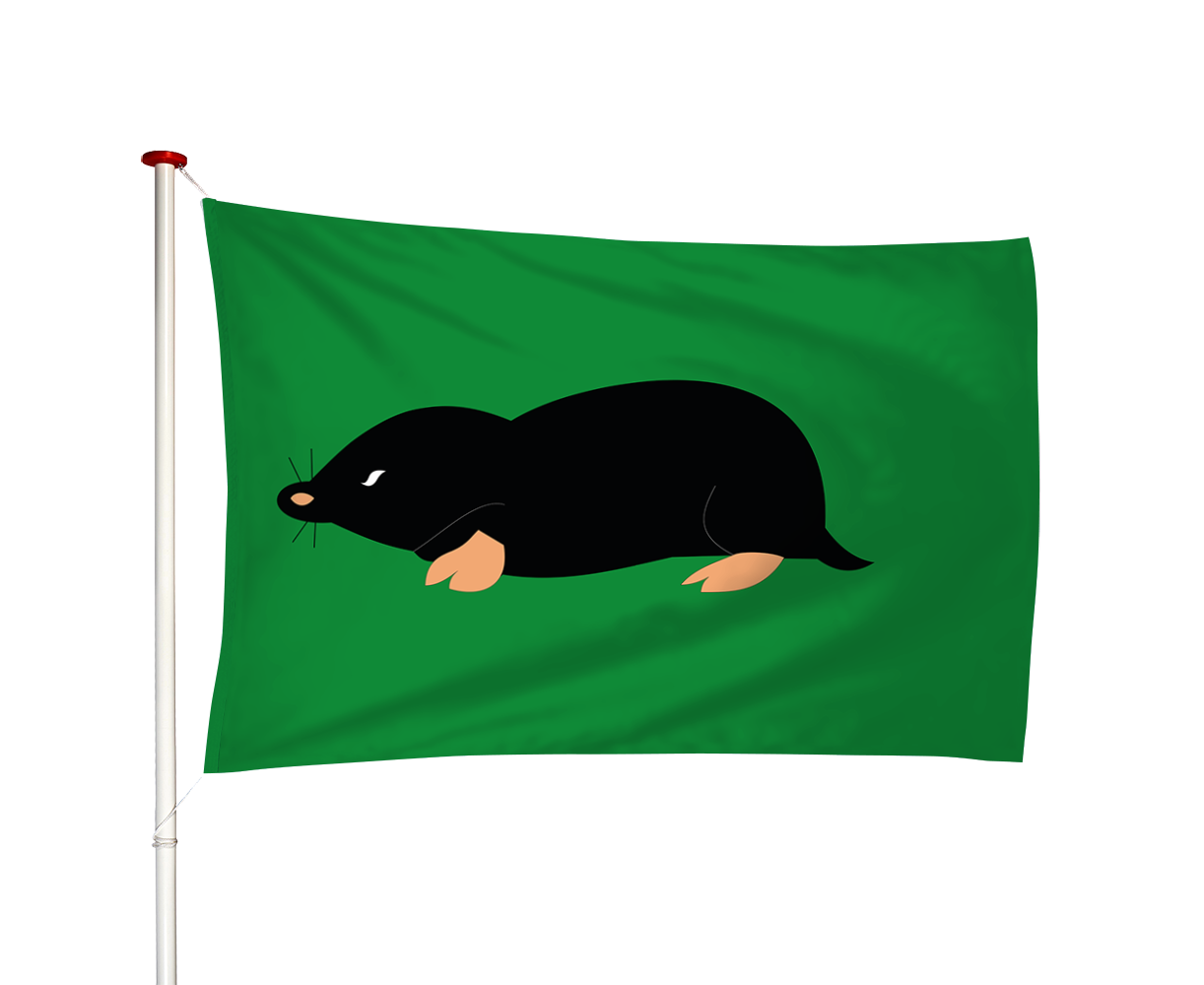 Vlag Schermerhorn