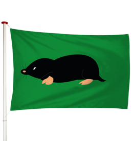 Vlag Schermerhorn