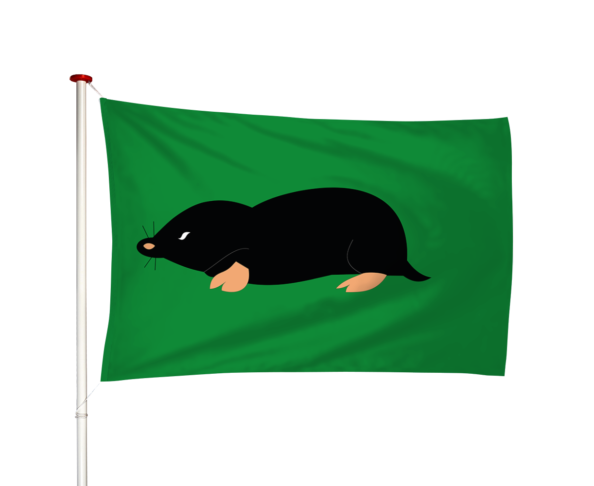 Vlag Schermerhorn