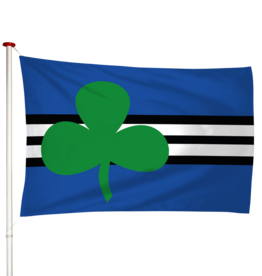Vlag Wijdewormer