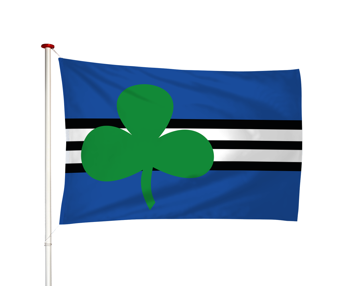 Vlag Wijdewormer