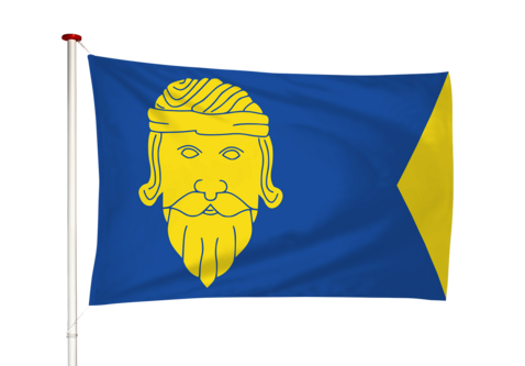 Vlag Wormer