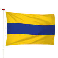 Vlag Lisse