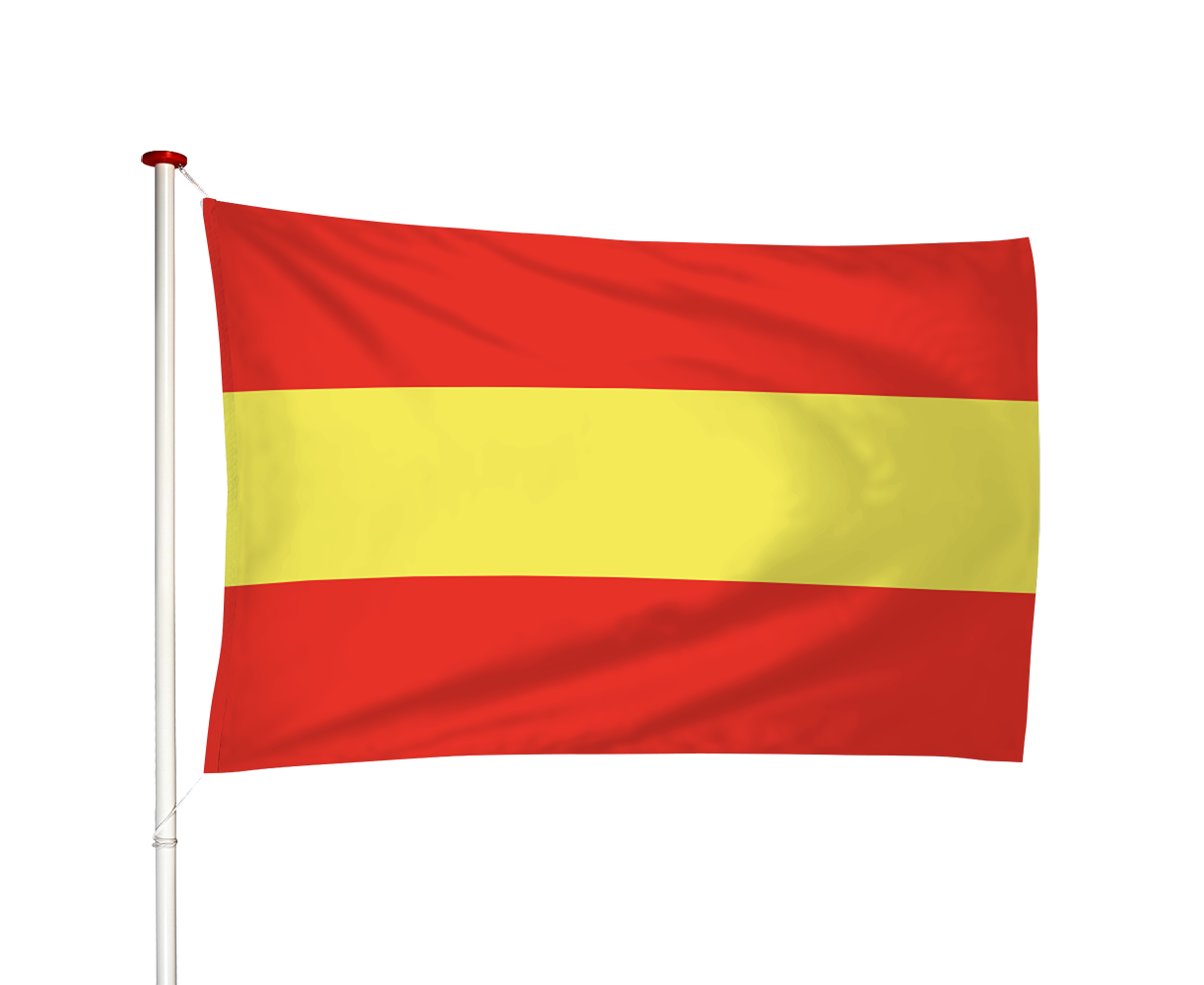 Vlag Maasdam