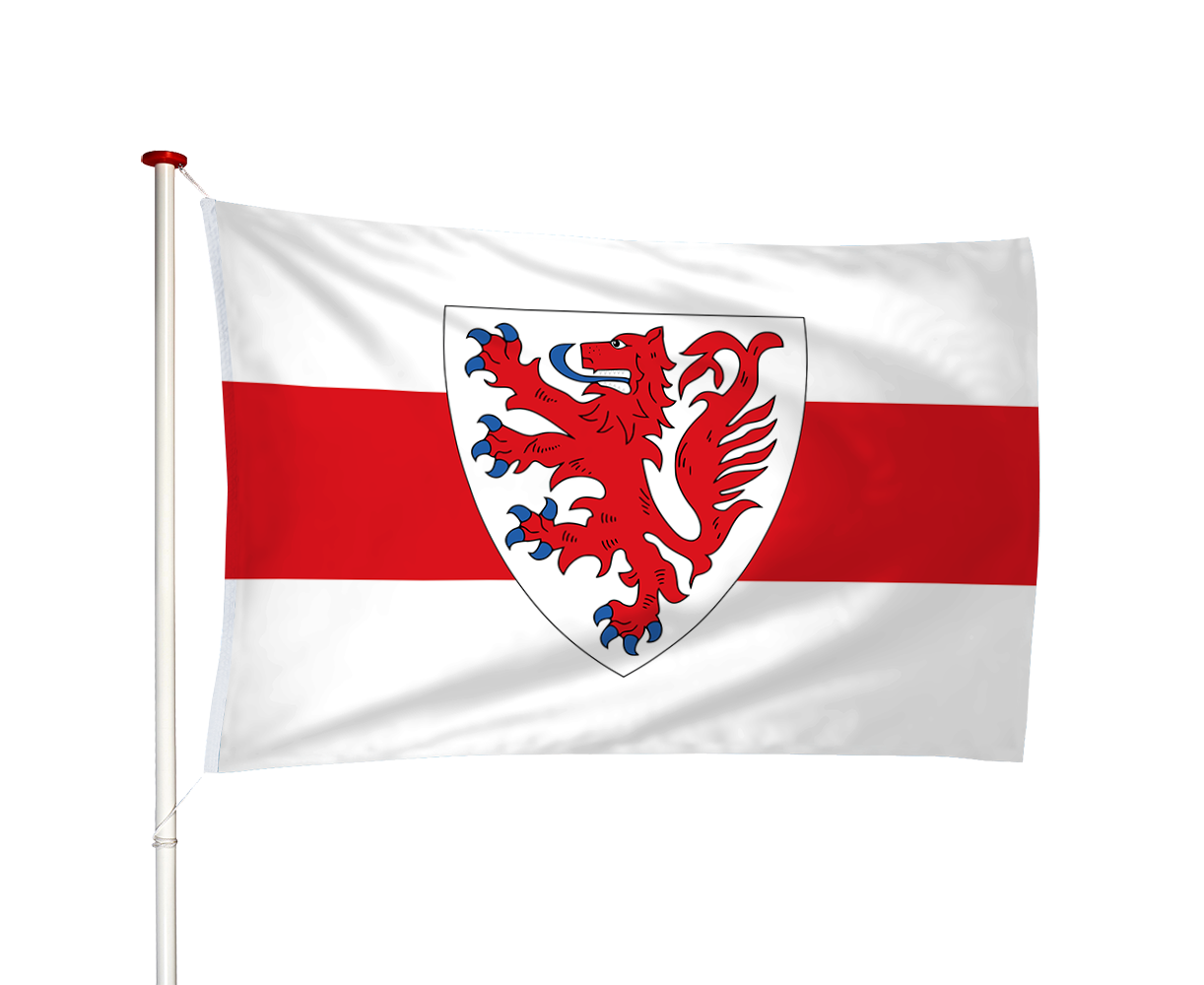 Vlag Naaldwijk