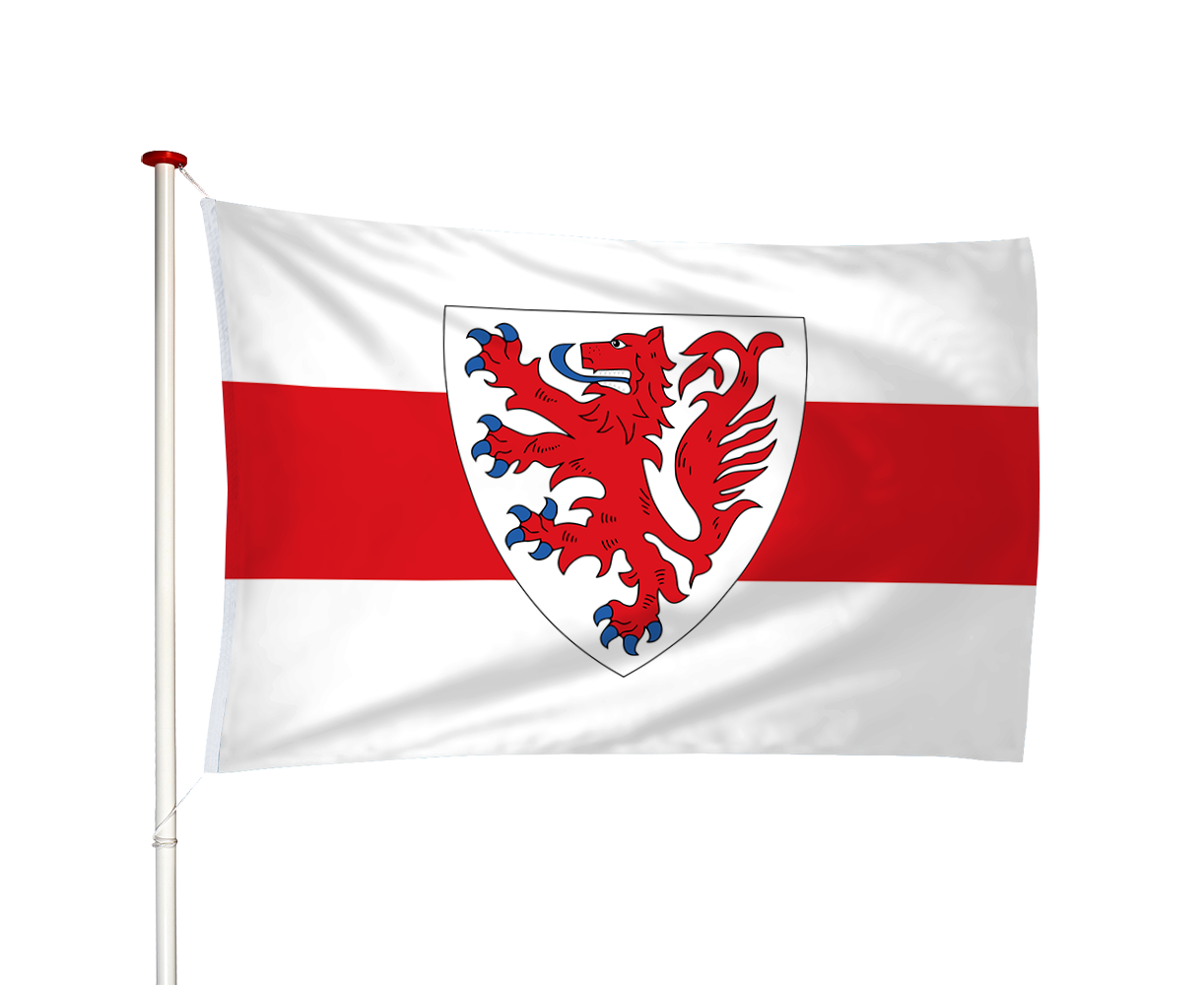 Vlag Naaldwijk