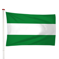 Vlag Oude Tonge