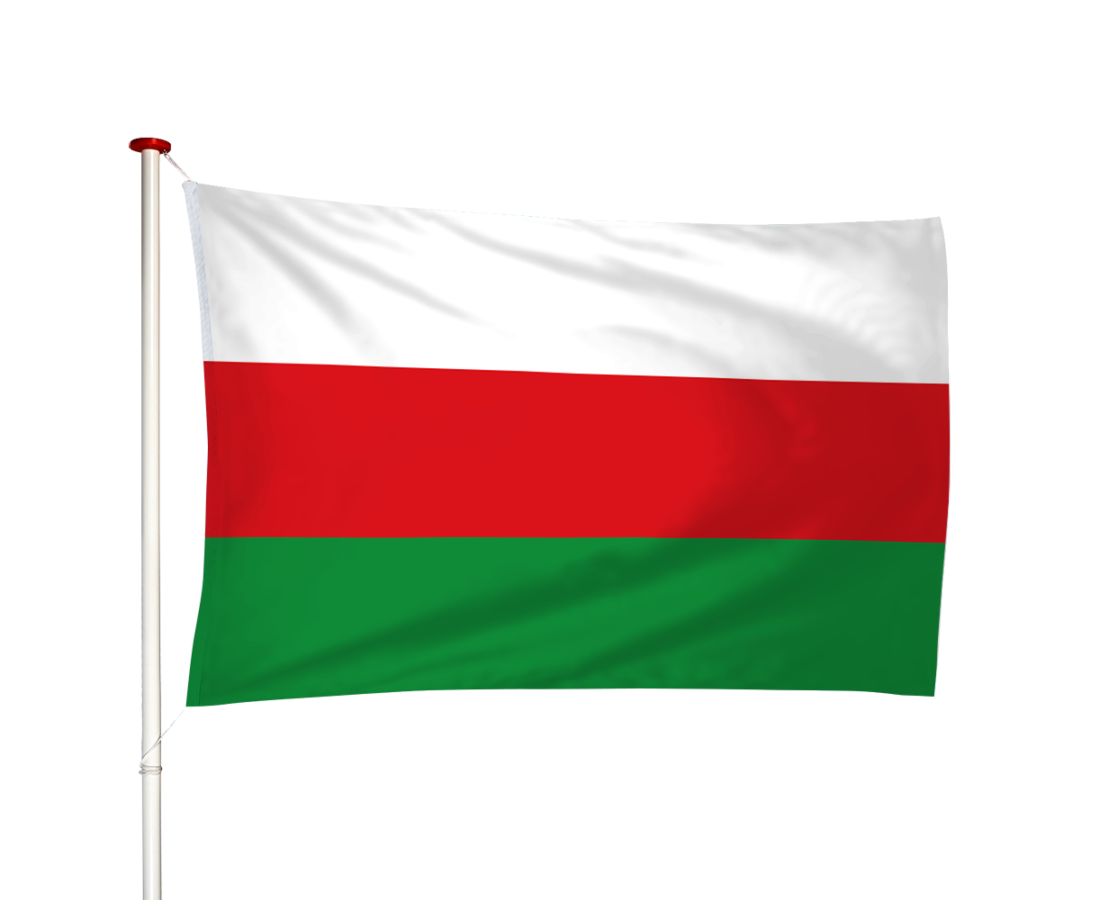 Vlag Overschie