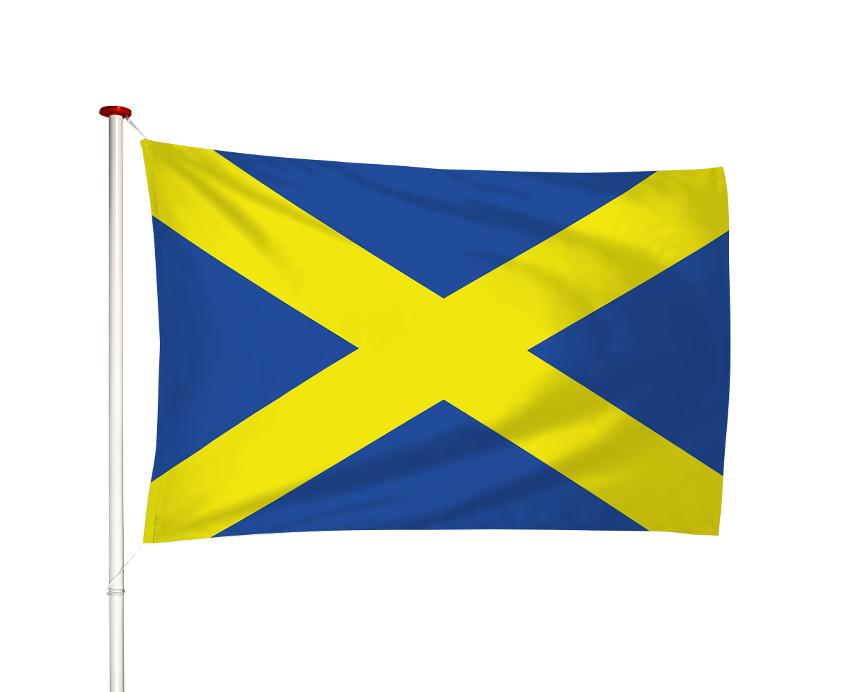 Vlag Pijnacker