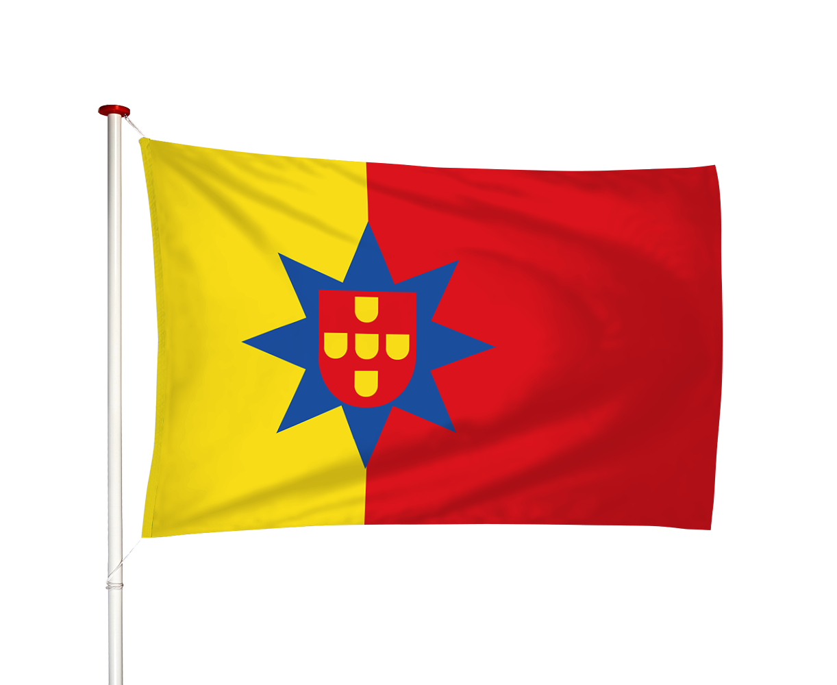 Vlag Poortugaal