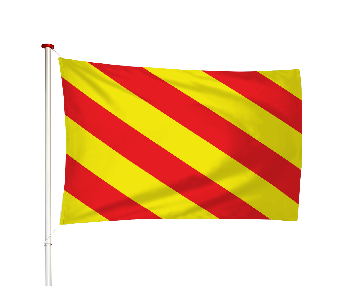 Vlag Sassenheim