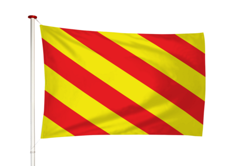 Vlag Sassenheim