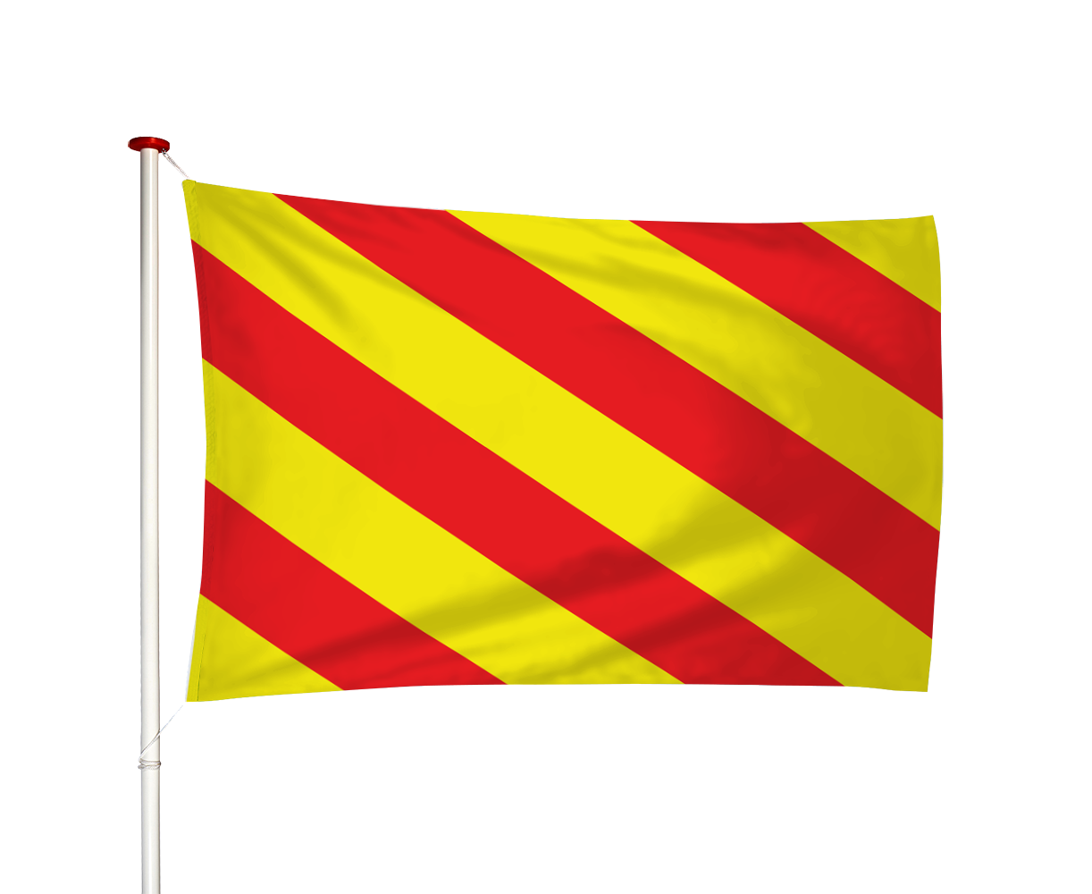 Vlag Sassenheim