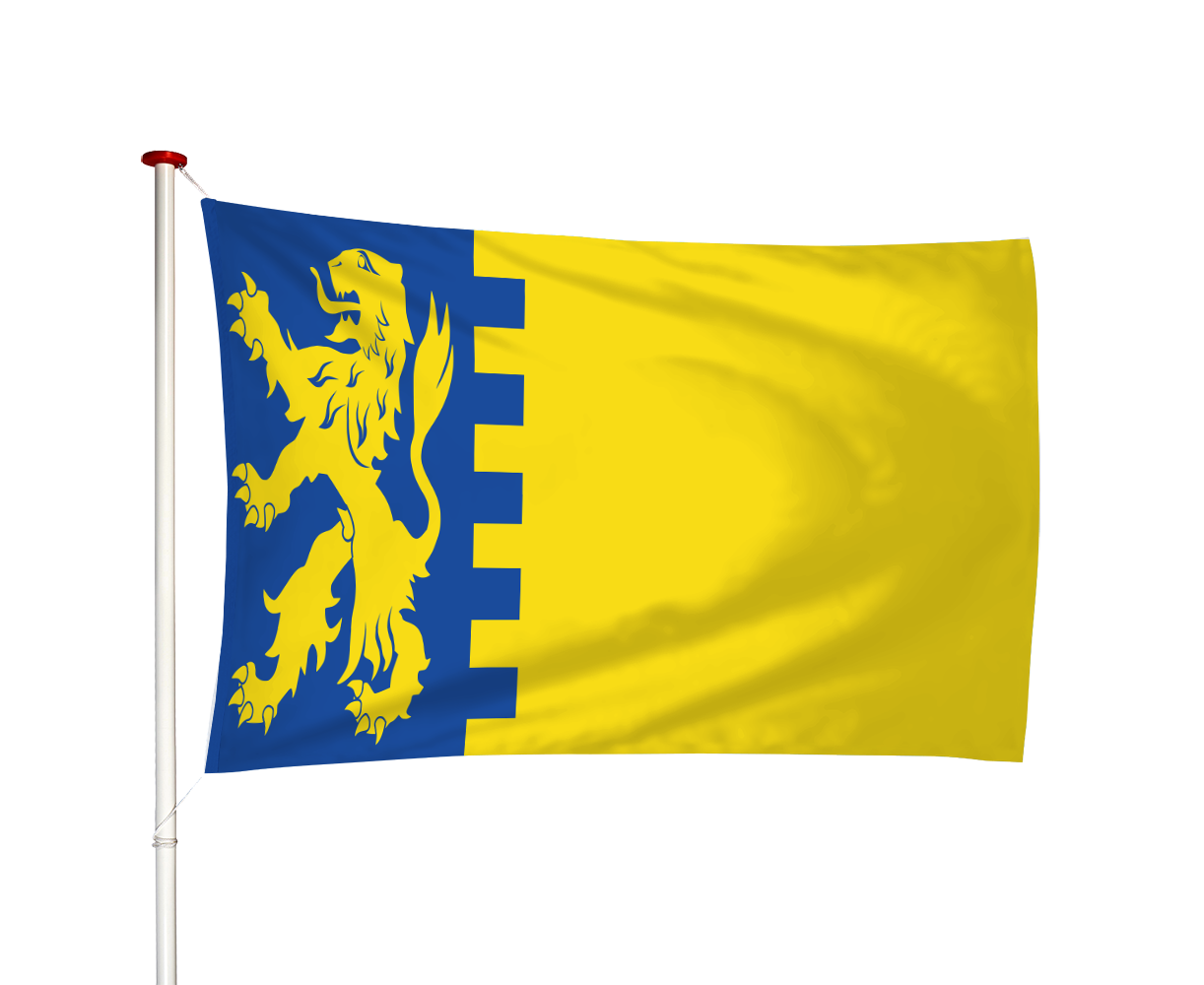 Vlag Schelluinen