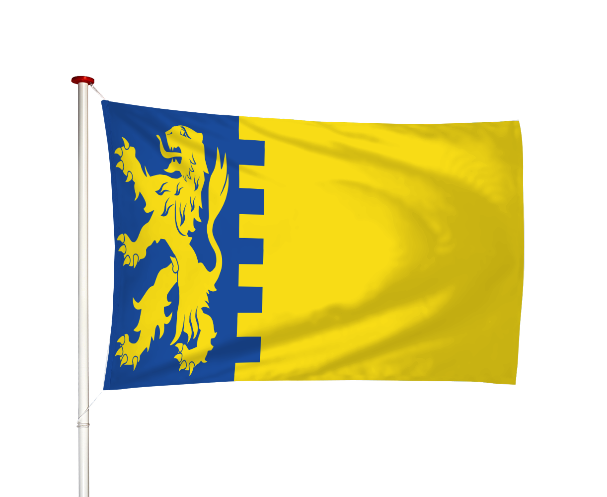 Vlag Schelluinen