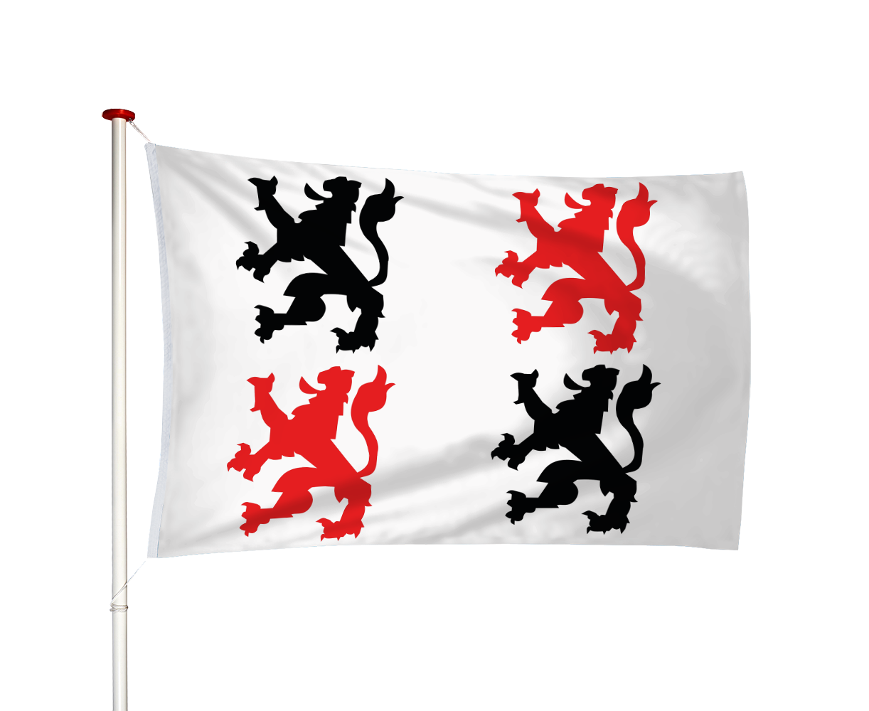 Vlag Schoonhoven