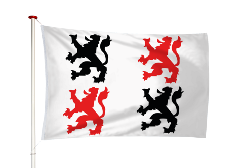 Vlag Schoonhoven
