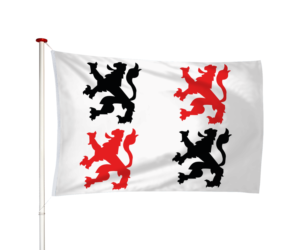 Vlag Schoonhoven