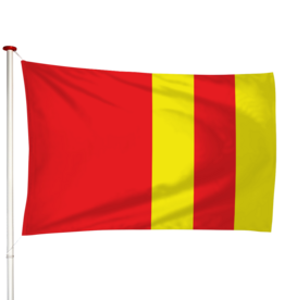 Vlag Ter Aar