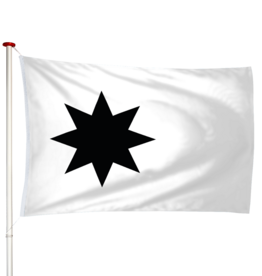 Vlag Wateringen